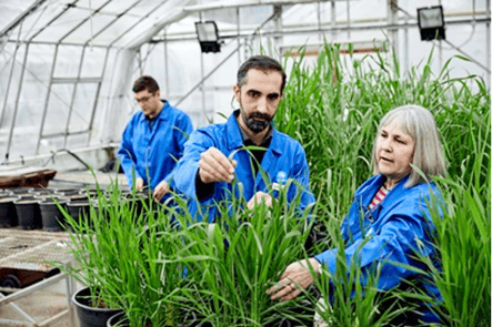 CSIRO – Impossible without you