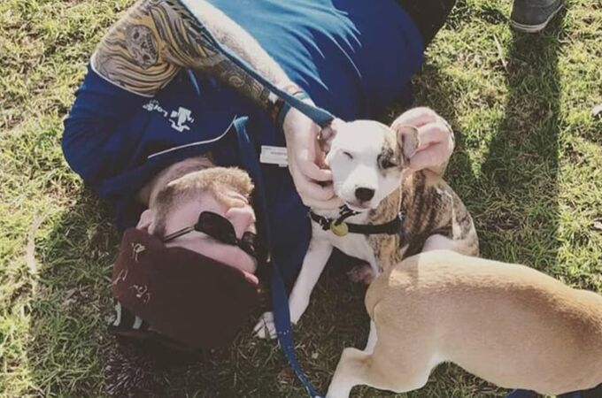 Flexibility at AGL Energy enables Matt to volunteer at an animal shelter